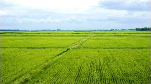 附近學(xué)生200元 - 百度